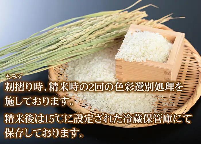 新米先行予約！【令和8年度産】 福井県越前市産コシヒカリ 福井県特別栽培米 10kg