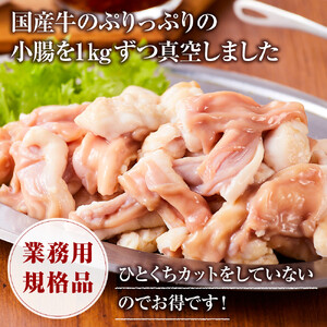 《業務用・訳アリ》国産牛　小腸　5kg