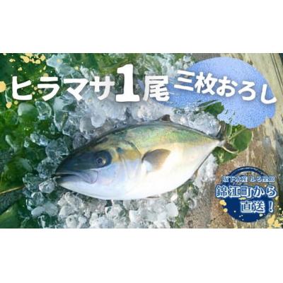 ふるさと納税 錦江町 ふる里館 ヒラマサ1尾セット 三枚おろし (No.2098-1)