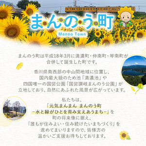 ＜返礼品なし＞ 香川県まんのう町への寄附 (1,000円) 香川県 まんのう町 応援 寄附 返礼品なし【man900】【まんのう町】
