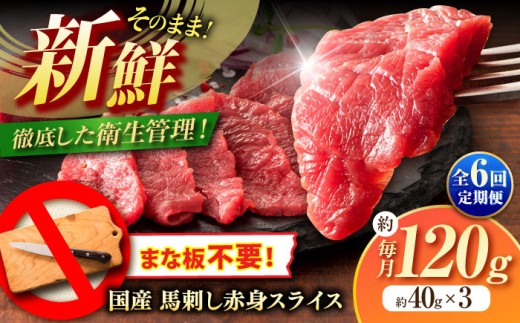 【全6回定期便】馬刺し まな板不要! フジチク 切れてる 国産馬刺し 3P 計約120g / 馬肉 馬刺し 赤身 ばさし バサシ馬刺し 馬刺 赤身 馬刺 冷凍 小分け おすすめ オススメ 熊本 熊本県 菊陽 菊陽町 馬肉 タレ付き あっさり 生姜付き 国産馬刺し ばさし 赤身 スライス 新鮮 おつまみ ふじ馬刺し 専門店 旨味 【株式会社フジチク】 [BHAD103]