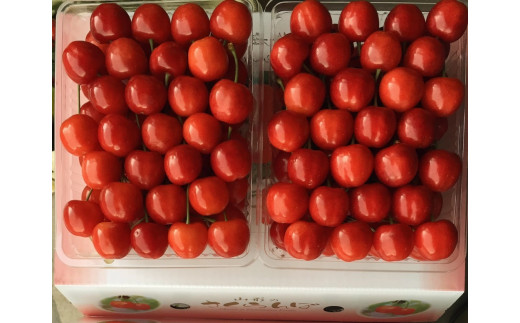 さくらんぼ（佐藤錦）１.２ｋｇ　特秀品　手詰め　0079-2536