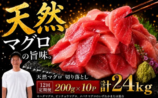 【12回定期便】天然マグロ切り落とし 200g×10P│天然マグロ 切り落とし 刺身 マグロ丼 冷凍 高知県 ふるさと納税 キハダマグロ ビンチョウマグロ メバチマグロ 海鮮 お取り寄せ グルメ 時短 簡単調理 解凍するだけ 一口サイズ 手巻き寿司 具材 ユッケ カルパッチョ 漬け丼 おかず おつまみ ギフト 贈答 贅沢 人気 おすすめ 産地直送 新鮮 晩酌 魚介