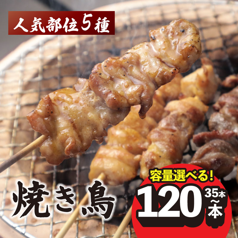 【ふるさと納税】 配達日指定可 焼き鳥 35～120本 5種盛 もも 皮 せせり 砂肝 ぼんじり 小分け やきとり 焼鳥 鶏肉 とりにく とり 鳥 鶏 串 串焼き おつまみ あて BBQ 焼き鳥セット おいしい バーベキュー アウトドア 冷凍 サトウフーズ 新潟県 新発田市 satofoods005P