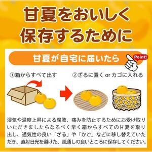 【ご家庭用訳あり】紀州有田産　すっきり爽やか　甘夏みかん　8kg【配送不可地域：離島】【1603672】
