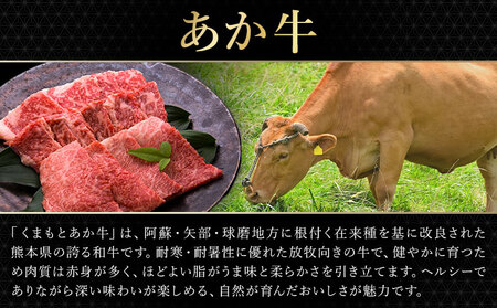 あか牛＆黒毛和牛ミックス牛肉切り落とし 1kg 熊本県畜産農業協同組合《60日以内に出荷予定(土日祝除く)》熊本県 産山村 くまもとあか牛 くまもと黒毛和牛 切り落とし 牛肉 肉 熊本県産 和牛 あか