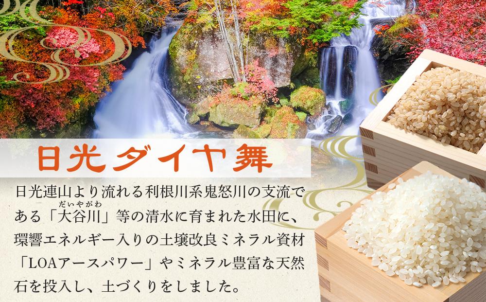 【先行予約】玄米 3kg JAS有機認定 日光ダイヤ舞 令和8年度米 こしひかり【2026年10月中旬以降発送予定】 ｜ お米 有機栽培 無農薬 コシヒカリ 栃木県 日光市