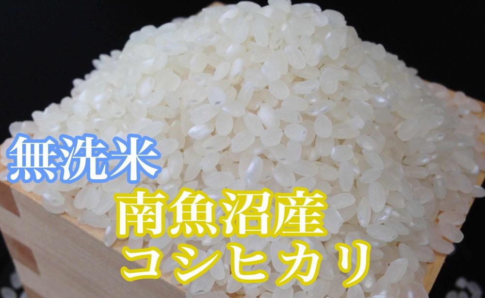 【令和7年産】【定期便5kg×12ヶ月】●吟精 無洗米●南魚沼産コシヒカリ【2025年10月上旬より順次発送予定】