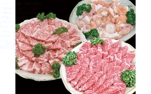 紀和牛赤身焼肉・ロース焼肉・牛腸セット　TM-25