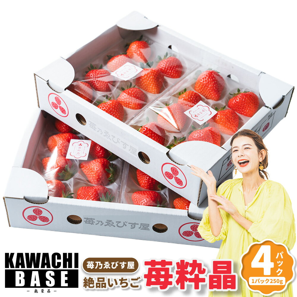 【ふるさと納税】絶品いちご 「苺粋晶」 (恋みのり) 250g×4P (合計1kg) ｜旬 苺 イチゴ いちご ストロベリー フルーツ くだもの 果物 贈り物 ご褒美 九州 熊本県 送料無料 【2027年2月上旬発送開始】