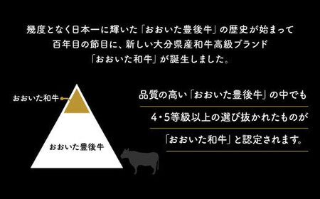 E-45 片桐さんの「おおいた和牛」肩ロースすき焼き（600g）