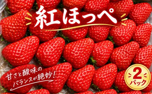 ※画像はイメージです。