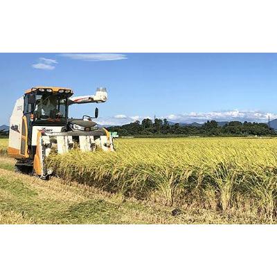ふるさと納税 胎内市 令和6年産　新潟県胎内市産コシヒカリ10kg(5kg×2袋) |  | 01