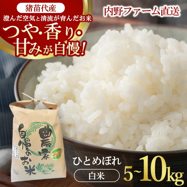 【ふるさと納税】【選べる容量】今だけ 数量限定 生活応援価格 令和7年度産 ひとめぼれ 5kg 10kg | 米 こめ 白米 精米 ごはん お米 5キロ 10キロ 国産米 ブランド米 福島県産 令和7年産 農家直送 産地直送 内野ファーム おにぎり 弁当 家庭用 精米済み 猪苗代町