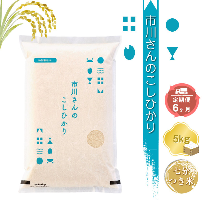 
特別栽培米　市川さんのこしひかり 令和6年産【7分つき米5kg×定期便6カ月】　コメ　信州　おいしい　ごはん【 米 コメ 備蓄品 仕送り おすそ分け 備蓄米 長野県 佐久市 】
