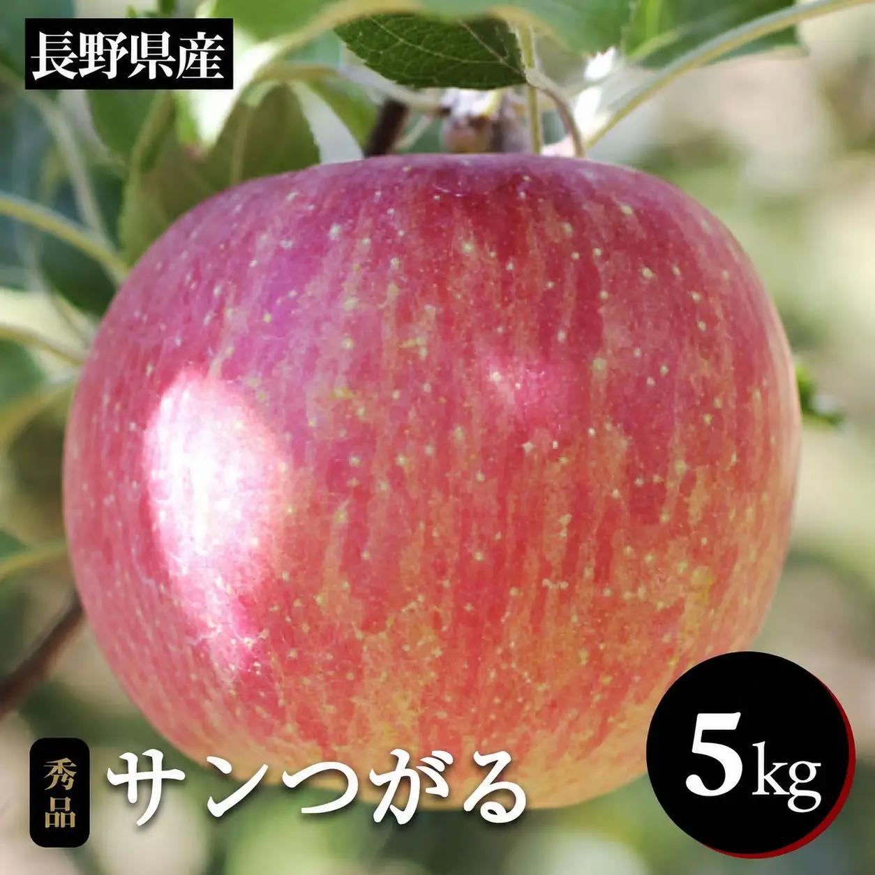 りんご の 一番手! 長野県産 りんご サンつがる 約5kg 秀品 〈2026年9月上旬～9月中旬発送〉| 長野県 飯田市