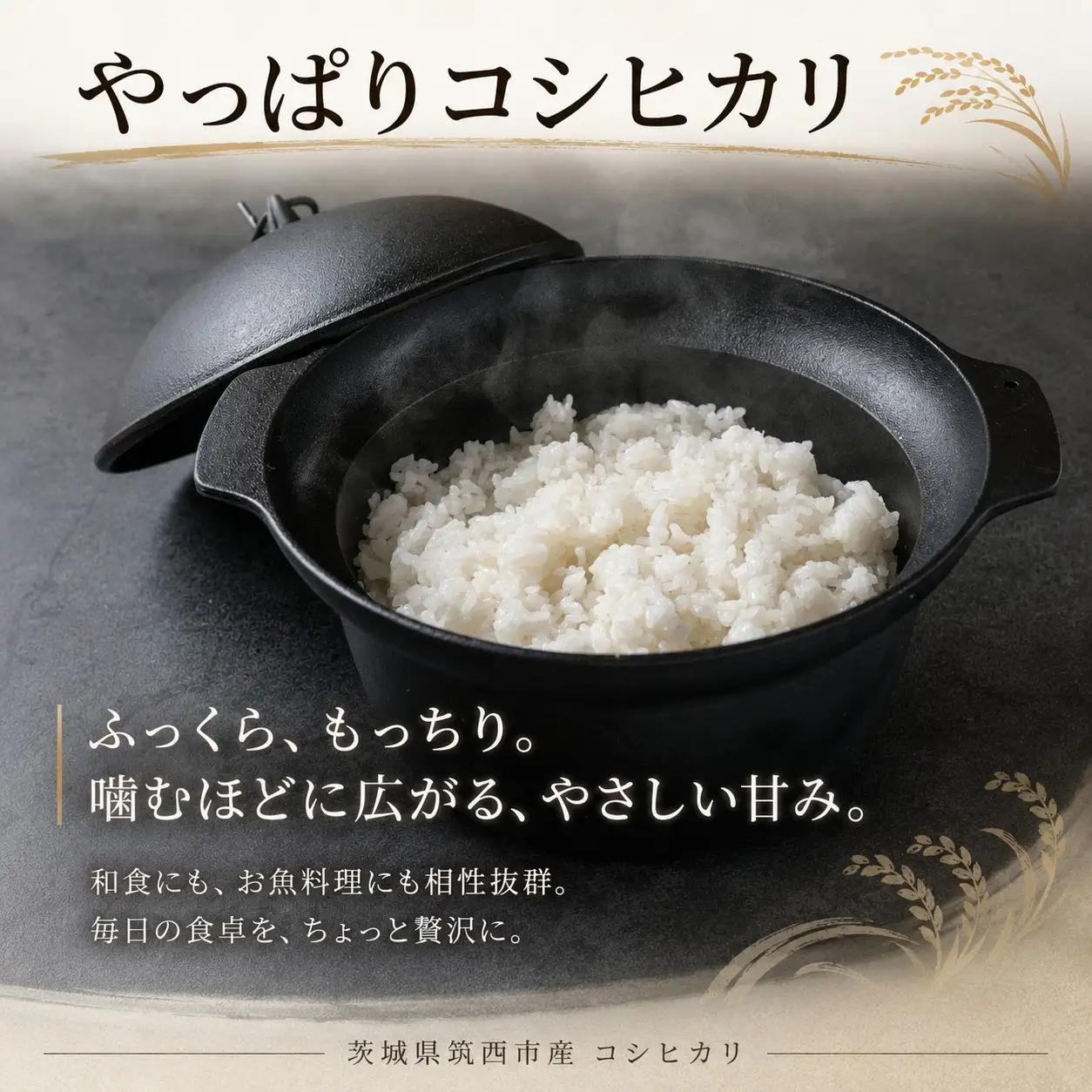 新米 コシヒカリ 精米 10kg 先行予約 令和8年 数量限定 