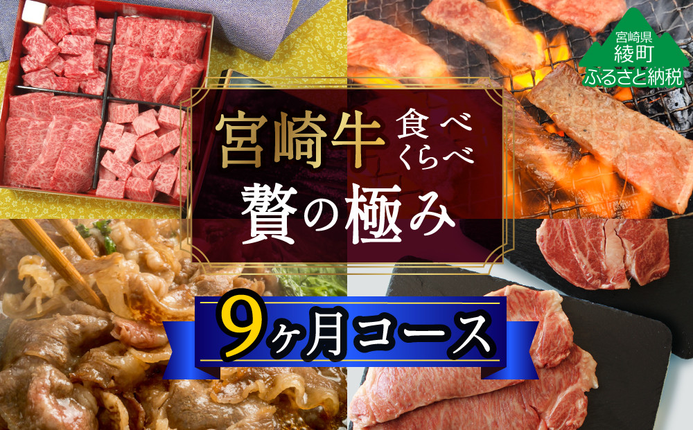 
【定期便）宮崎牛食べ比べ贅の極み9か月コース 5.48kg（36-222）
