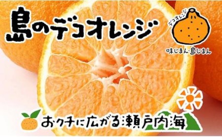 【2026年4月上旬から発送予定】不知火 しらぬい 8kg 24玉 ~ 52玉 ( M ~ 3L ) 特選品 期間限定 愛媛県産 みかん【FT0151】