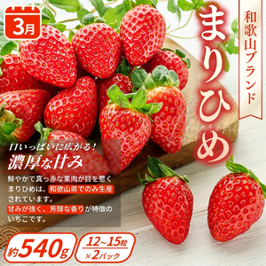 【定期便4回】フルーツ王国かつらぎ町よりお届け！旬のフルーツ定期便【kgr025】