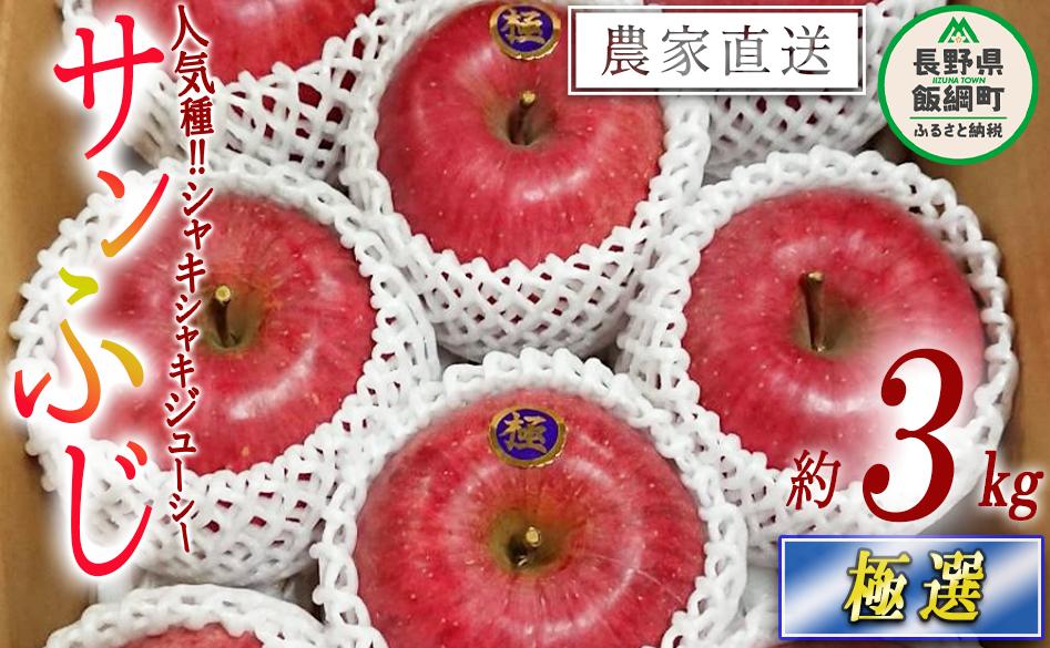 りんご サンふじ 極選 3kg やまじゅうファーム 沖縄県への配送不可 2025年12月上旬頃から2025年12月下旬頃まで順次発送予定 令和7年度収穫分 信州の環境にやさしい農産物 減農薬栽培 長野