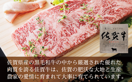 ｆ－１９【６回お届け】佐賀牛サーロインステーキ２５０ｇ×２枚が６回届く定期便