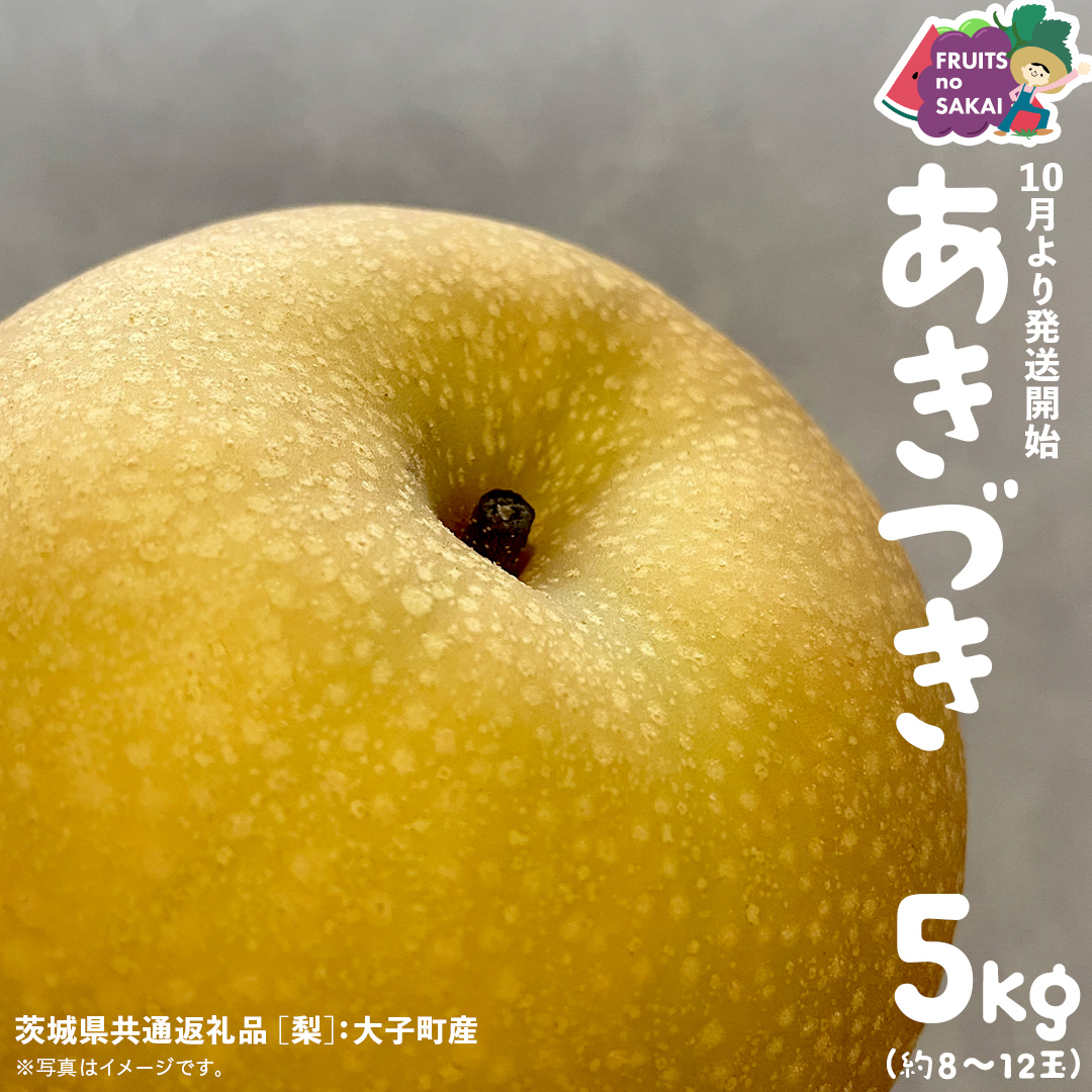 あきづき 梨 5kg （8～12玉）【2025年10月より発送開始】（茨城県共通返礼品 [梨]：大子町産） なし 旬 お取り寄せ フルーツ 甘い ジューシー 和梨 時期 秋月 [FC07-NT]