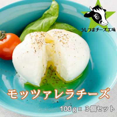 【ふるさと納税】うしづまチーズ工場の、モッツァレラチーズ3個セット！ ナチュラルチーズ 静岡 牛妻■ | 加工食品 乳製品 職人手作り 弾力 濃厚 カプレーゼ トースト ピザ ジャージー牛100％