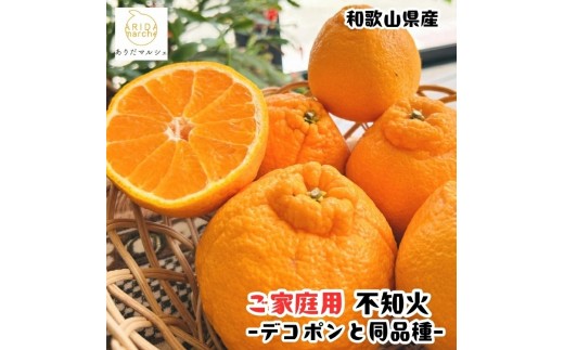 
                  有田育ちの濃厚 不知火 (デコポン と同品種)(訳あり 家庭用) 1kg+200g(傷み補償分)【ard010-c-1B】
                