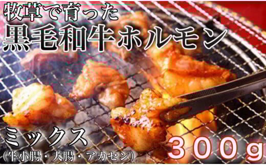 牧草で育った黒毛和牛ホルモンミックス