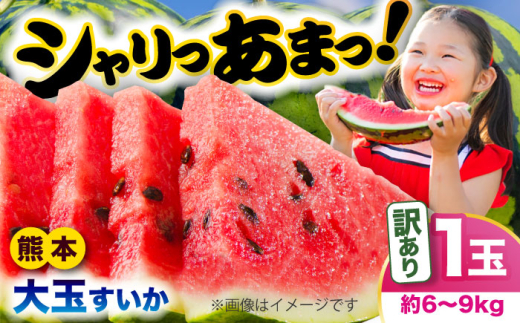 【2026年発送分 先行予約】【数量限定】【訳あり】大玉すいか 1玉 約6kg～9kg 【株式会社 Foody’s】 スイカ すいか 果物 フルーツ お取り寄せ 大玉スイカ 大玉すいか クマモト くまもと 熊本 特産品 [AYAT007]