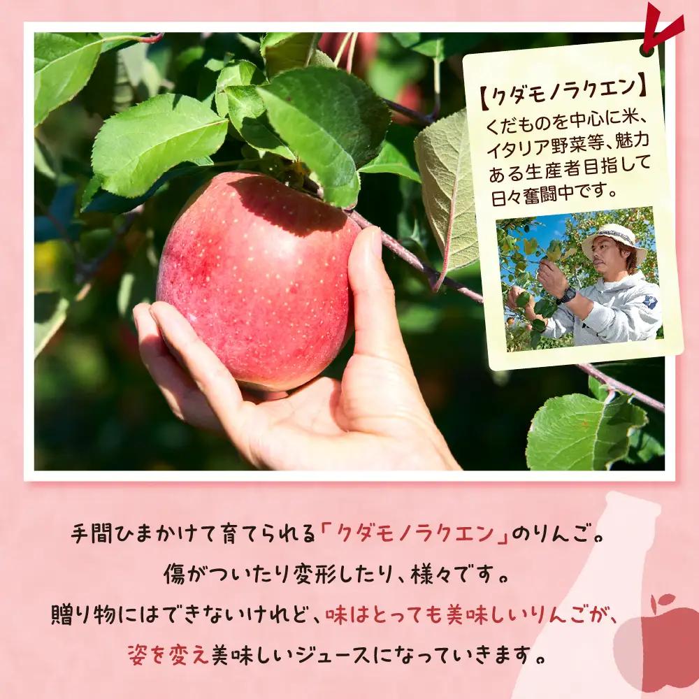 ジュース 手絞り りんごジュース 1L 3本 セット ジュース