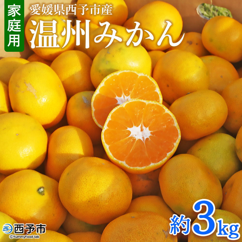 ＜愛媛県西予市産 温州みかん 家庭用 約3kg＞ 果物 くだもの うんしゅうみかん ウンシュウミカン ミカン 蜜柑 柑橘 フルーツ 自宅用 訳あり 旬 特産品 産地直送 段畑みかん株式会社 愛媛県 西予市