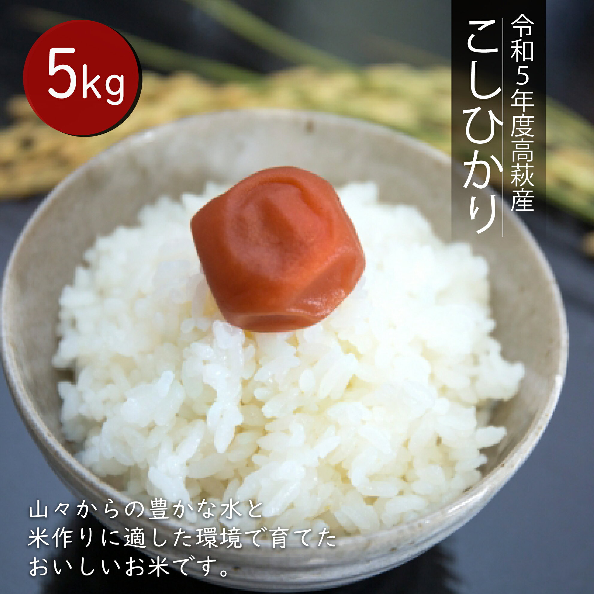 【ふるさと納税】令和7年度 高萩産 コシヒカリ 5kg
