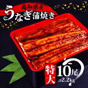 【ふるさと納税】 肉厚 うなぎ の 蒲焼き 220g × 10尾 自家製 タレ 10個 セット 頭付き 鰻 手焼き 蒲焼 タレ付き ふっくら 香ばしい うなぎ蒲焼き 鰻蒲焼 高知県産 国産 養殖鰻 養殖うなぎ 冷凍 惣菜 真空パック 温めるだけ 簡単調理 高知県 須崎市