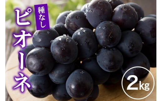 ピオーネ 2kg ぶどう ブドウ 葡萄 果物 くだもの フルーツ A01-018