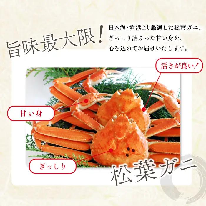 【蒸し】ご自宅用松葉ガニ 中 3枚 【松葉ガニ 松葉がに 松葉蟹 まつばがに かに カニ 冷蔵 チルド ブランド ズワイガニ 蒸し ボイル 自宅用 国産 季節限定 お取り寄せ 鳥取県 日吉津村 日本海