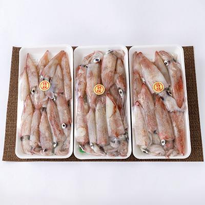 ふるさと納税 八幡浜市 竹中水産のバラスルメ(白イカの小小サイズ)1.5kg【C22-271】 |  | 03
