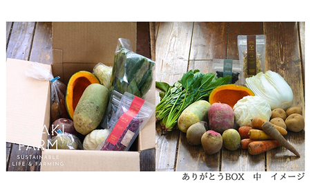 旬の野菜詰め合わせ ～ありがとうBOX2026・中～ 12月1日～1月31日頃お届け 先行予約 北海道 野菜 やさい 詰め合わせ セット 北海道産 常備菜 加工品 自然栽培 佐々木ファーム 産地直送 