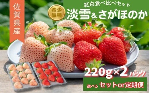 
                  先行受付開始！佐賀県産 いちご さがほのか&淡雪 紅白セット【選べるセット&定期便】
                