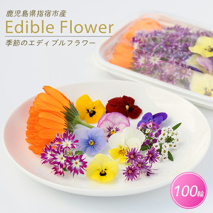 【ふるさと納税】季節のエディブルフラワー(約100輪) 花 食べられる花 食用花 エディブル フラワー 彩り 旬 飾り トッピング【MICHI-FARM】