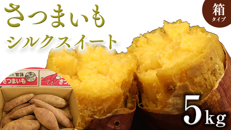 さつまいも 【 シルクスイート 】 5kg ( 箱込 ) サツマイモ さつま芋 芋 いも 野菜 焼き芋 スイーツ おやつ 国産
