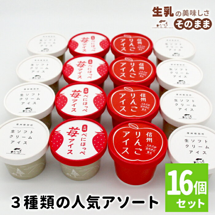 【ふるさと納税】〈予約品〉3種類の人気アソート 16個入り 80ml 100ml 生乳 牛乳 ミルク スイーツ アイスクリーム 信州 搾りたて アイス りんご りんごアイス アップル りんごミルク りんごスイーツ 苺 いちご 紅ほっぺ ストロベリー 根羽村 10000円 1万円