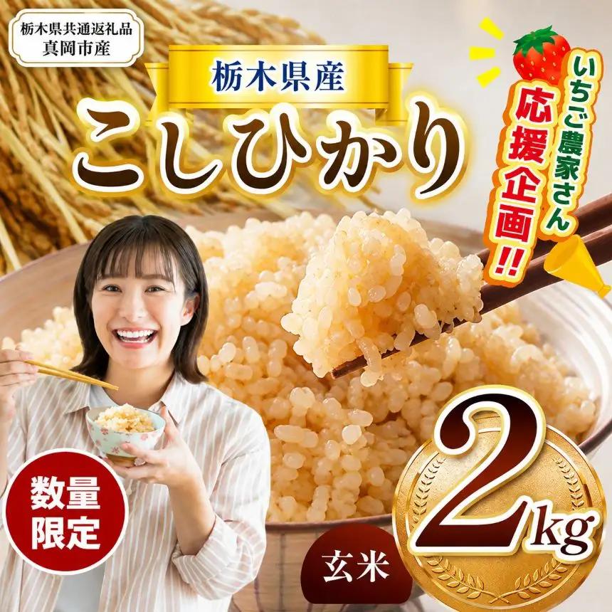 【先行予約】【令和8年度産】 栃木県産コシヒカリ 2kg | 【栃木県共通返礼品】こしひかり 数量限定 玄米 米 ごはん 玄米密閉パック ふるさと納税 那珂川町 栃木県