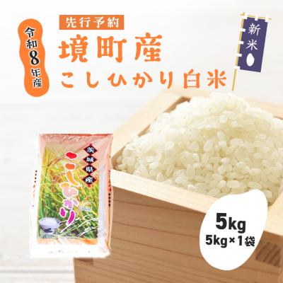 ふるさと納税 境町 米 コシヒカリ 5kg 令和8年産 国産 白米 茨城県 境町産 数量限定 こしひかり お米 おすすめ