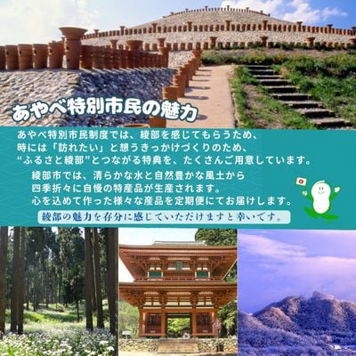 京都・綾部のふるさと応援団「あやべ特別市民」会員券【1091308】