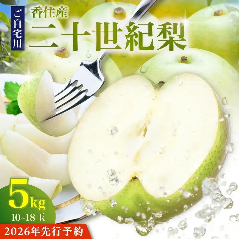 《2027年産 先行予約》二十世紀梨 ご自宅用 優品（Bランク）約5kg（L～5Lサイズ混合 10～18玉）【令和9年8月下旬以降発送予定】20世紀梨 フルーツ 果物 12-20
