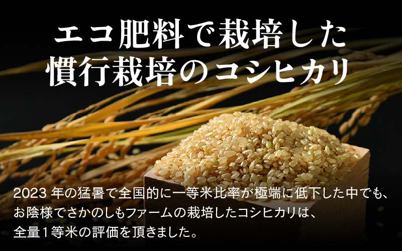 【先行予約】【令和8年産 新米】【一等米】エコ栽培コシヒカリ 定期便 ≪3ヶ月連続お届け≫ 玄米5kg×3回 計15kg ／ 鮮度抜群 福井県産 こしひかり ご飯 新鮮 玄米 ※2026年10月上旬以