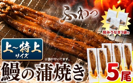うなぎ 国産 鰻の蒲焼 5尾 ＋ きざみうなぎ 30g×3袋 上～特上サイズ《30日以内に出荷》| うなぎ 蒲焼 国産 うなぎ 小分け うなぎ 国産 うなぎ ギフト うなぎ 簡易包装 送料無料 徳島県 上板町