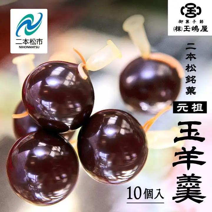 羊羹 玉嶋屋の玉羊羹 10個入り ようかん【株式会社玉嶋屋】